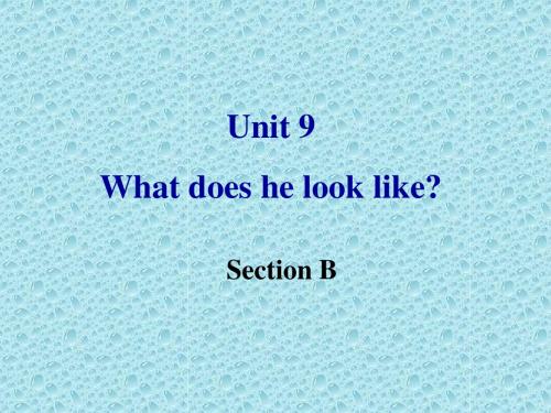 2013年春人教新目标版七年级英语下册_Unit9_What_does_he_look_like？_Section_B_课件ppt