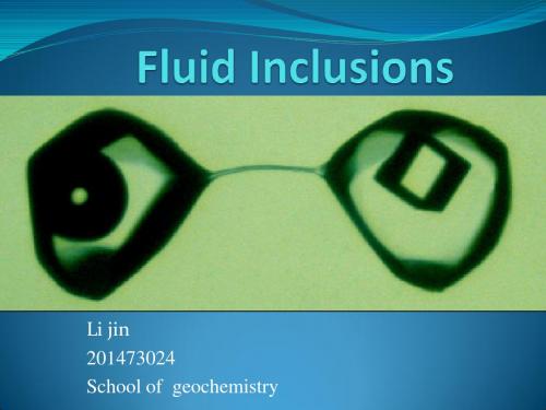 fluid inclusion geology