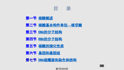 生物化学03核酸化学PPT课件