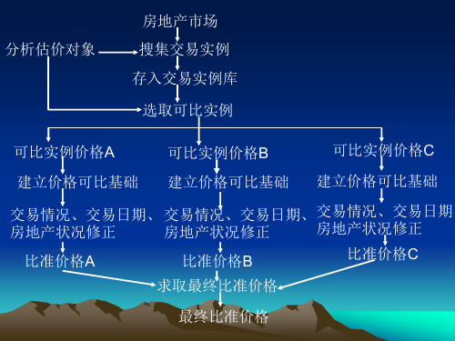 第九章假设开发法