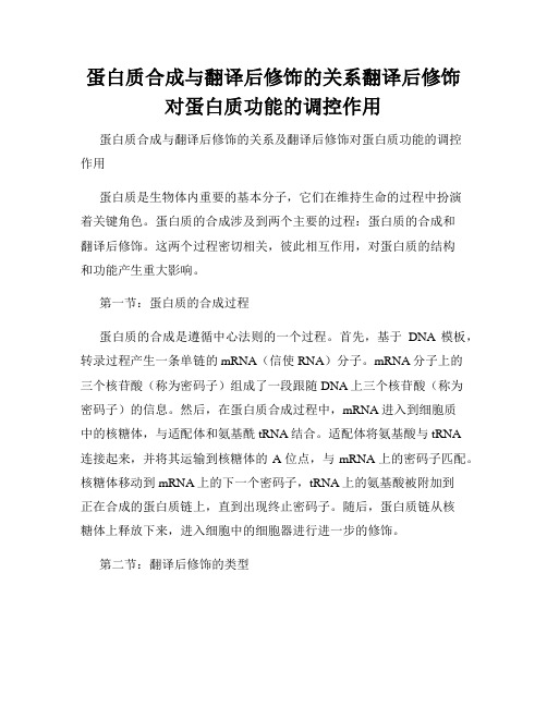 蛋白质合成与翻译后修饰的关系翻译后修饰对蛋白质功能的调控作用