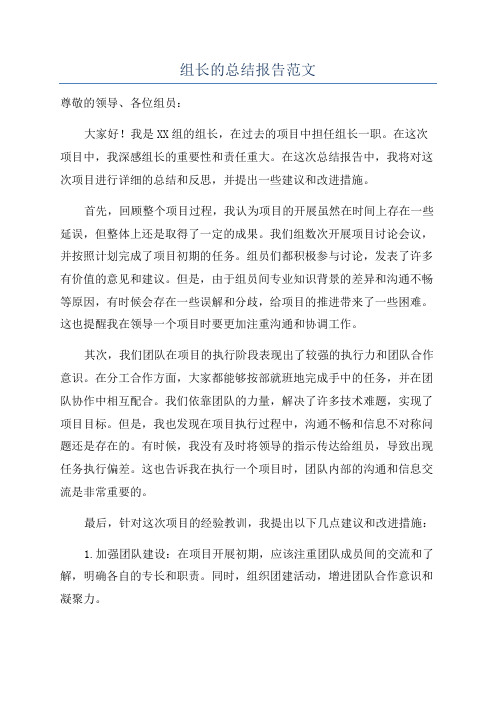 组长的总结报告范文