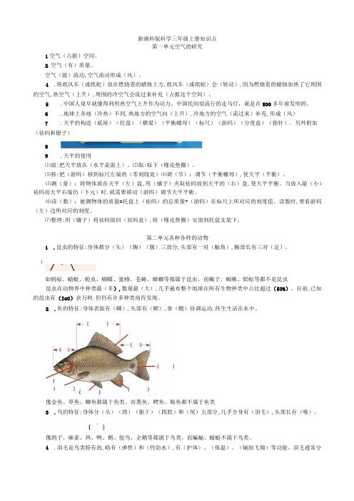 新湘科版科学三年级上册知识点