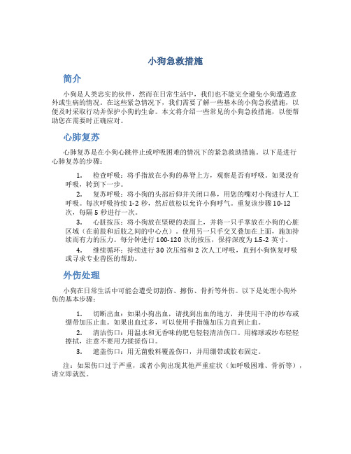 小狗急救措施