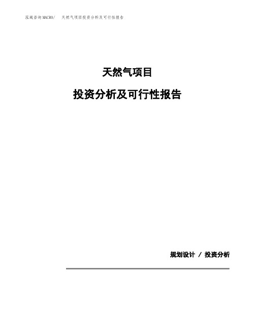 天然气项目投资分析及可行性报告