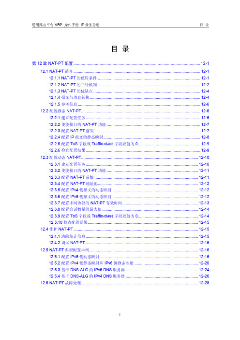 VRP5.3操作手册IP业务分册12-第12章 NAT-PT配置