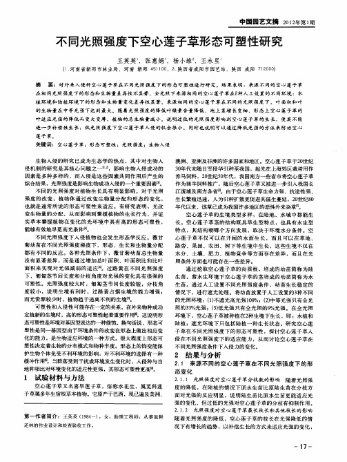 不同光照强度下空心莲子草形态可塑性研究