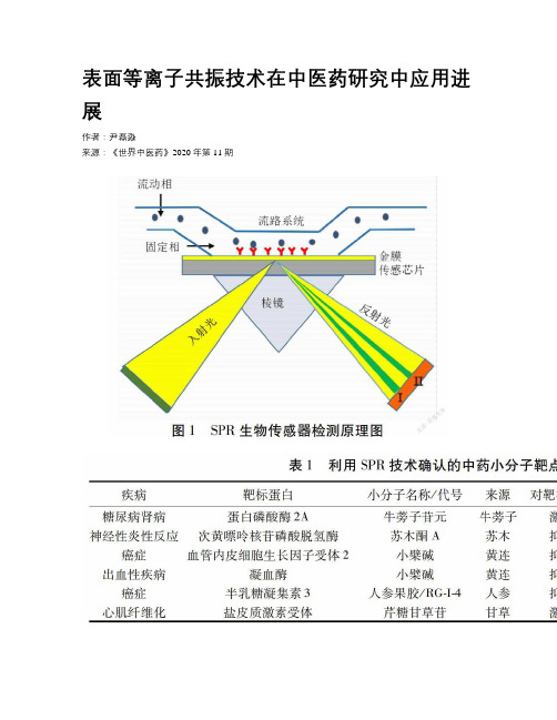 表面等离子共振技术在中医药研究中应用进展