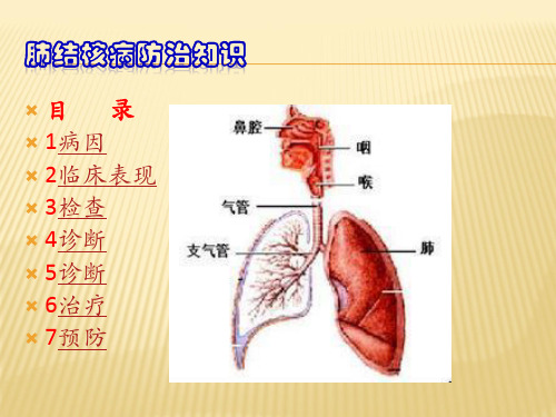 肺结核病防治知识培训课件