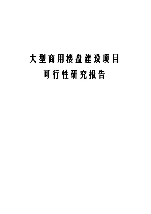 大型商用楼盘建设项目可行性研究报告