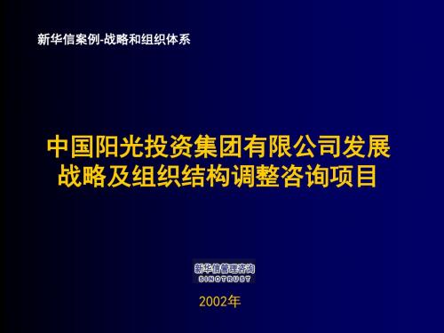 中国阳光战略咨询.精讲