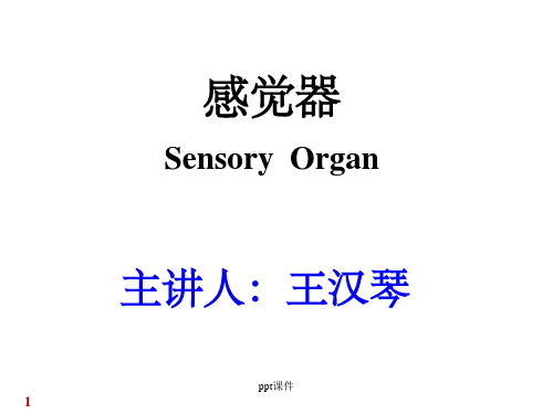 《系统解剖学》教学资料 感觉器 2013-dr.wang