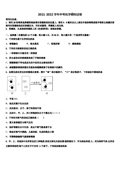 2022届湖南省怀化市名校中考化学模拟试题含解析