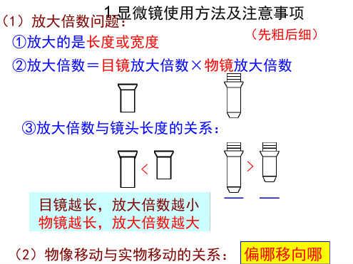 高中生物课本实验复习课件