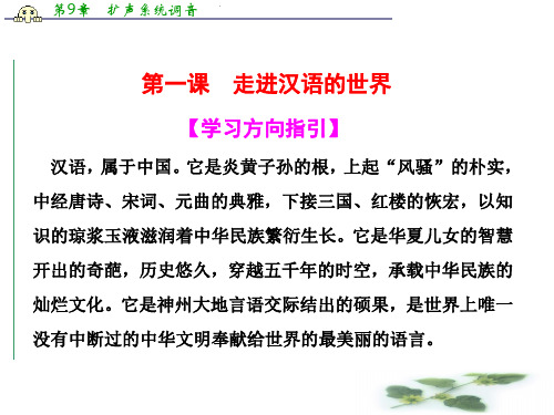 高中语文人教选修《语言文字应用》课件：1.1 美丽而奇妙的语言——认识汉语