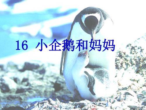 小学语文北京版二年级上册《16 小企鹅和妈妈》优质课公开课比赛获奖课件面试试讲课件