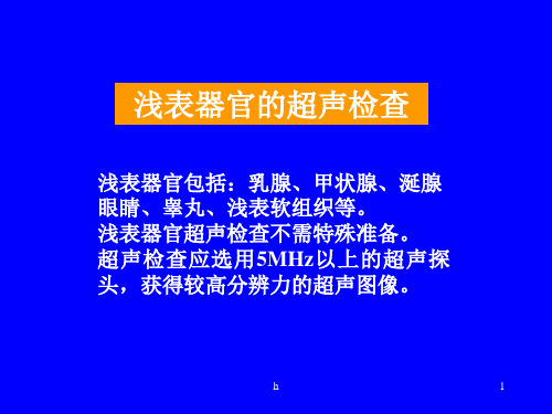 浅表器官的超声检查