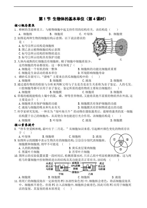 浙教版2024七年级上册科学第1节 生物体的基本单位(第4课时)同步练习含答案