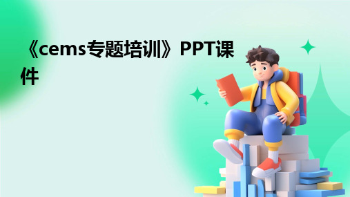 《cems专题培训》PPT课件