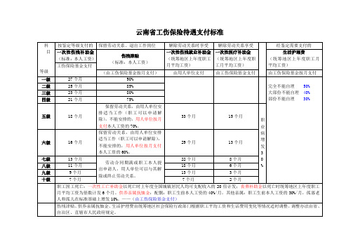 云南省工伤保险待遇支付标准