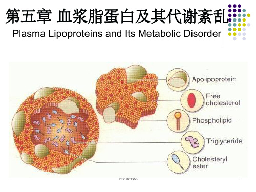 血浆脂蛋白及其代谢紊乱