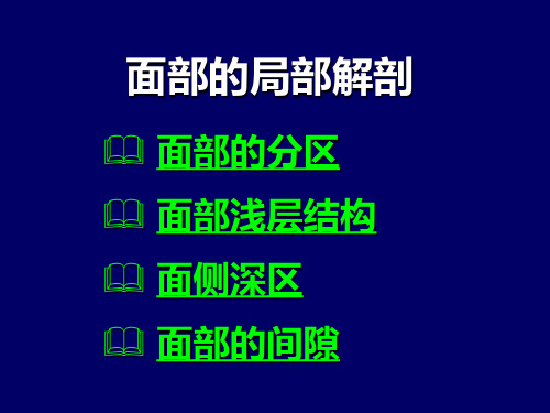 局部解剖学面部