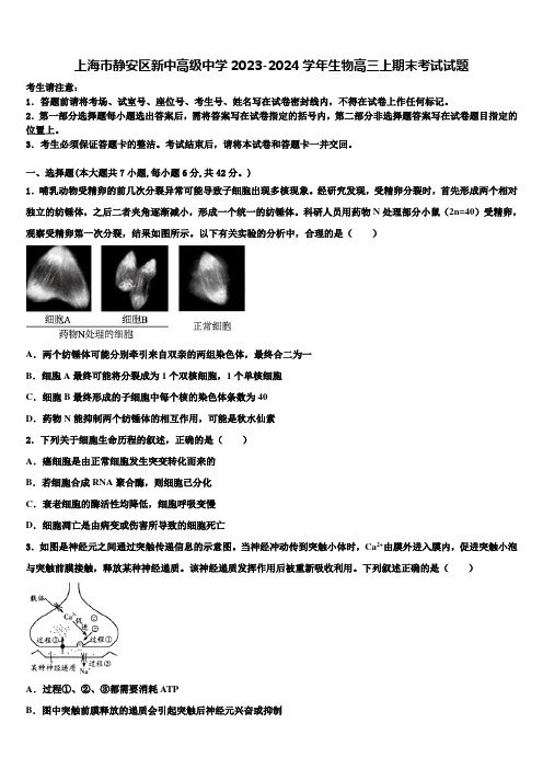 上海市静安区新中高级中学2023-2024学年生物高三上期末考试试题含解析