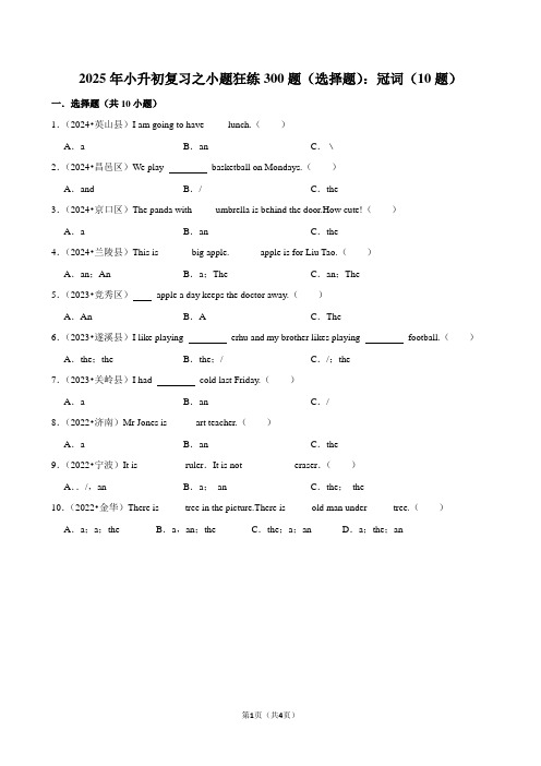 2025年小升初复习之小题狂练300题(选择题)：冠词(10题)