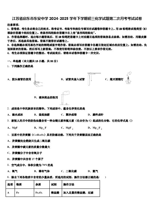 江苏省启东市东安中学2024-2025学年下学期初三化学试题第二次月考考试试卷含解析