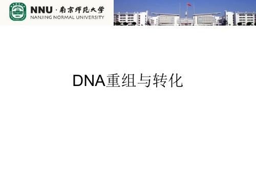 107473-分子生物学实验-8DNA重组与转化