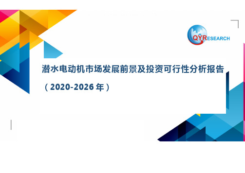 潜水电动机市场发展前景及投资可行性分析报告(2020-2026年)