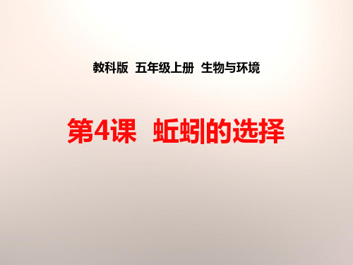 教科版五年级上册科学《蚯蚓的选择》生物与环境说课教学课件