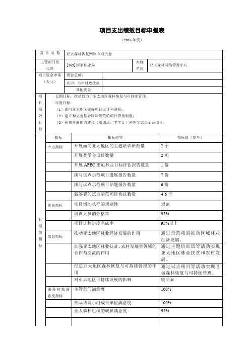 项目支出绩效目标申报表