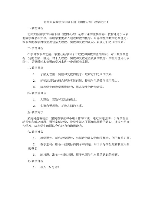 北师大版数学六年级下册《数的认识》教学设计1