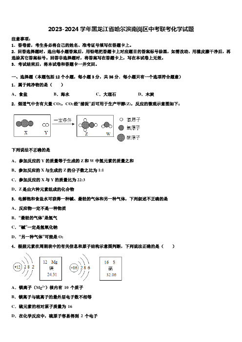 2023-2024学年黑龙江省哈尔滨南岗区中考联考化学试题含解析