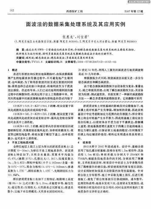 面波法的数据采集处理系统及其应用实例