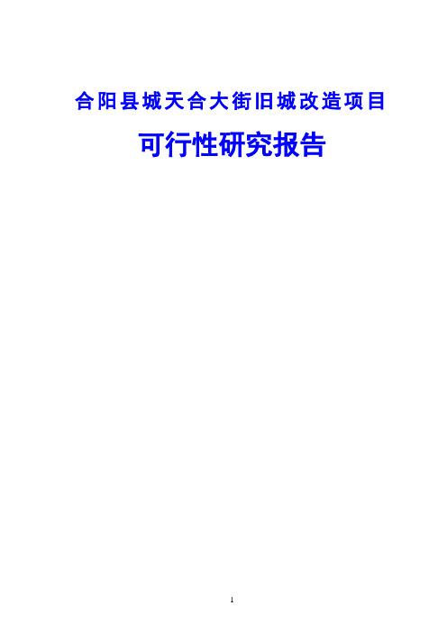 合阳县城天合大街旧城改造项目可行性研究报告