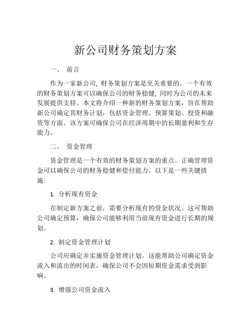 新公司财务策划方案