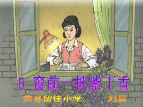 小学二年级上册语文窗前一株紫丁香