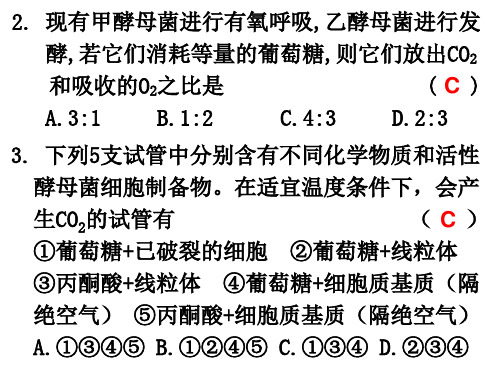 细胞呼吸练习PPT课件