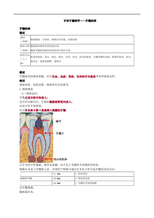 牙髓疾病 口腔执业考试辅导口腔内科学