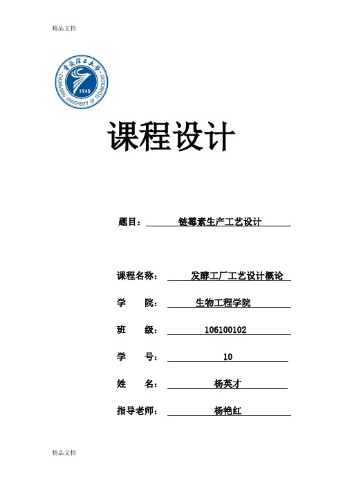 (整理)链霉素生产工艺设计说明书-模板1