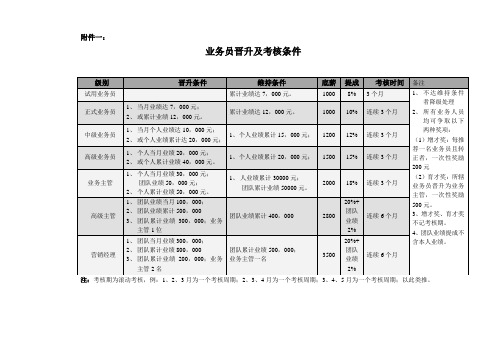 业务员晋升及考核条件(1)