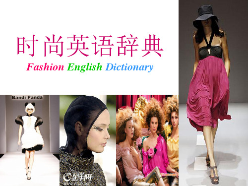 时尚英语辞典 Fashion English Dictionary