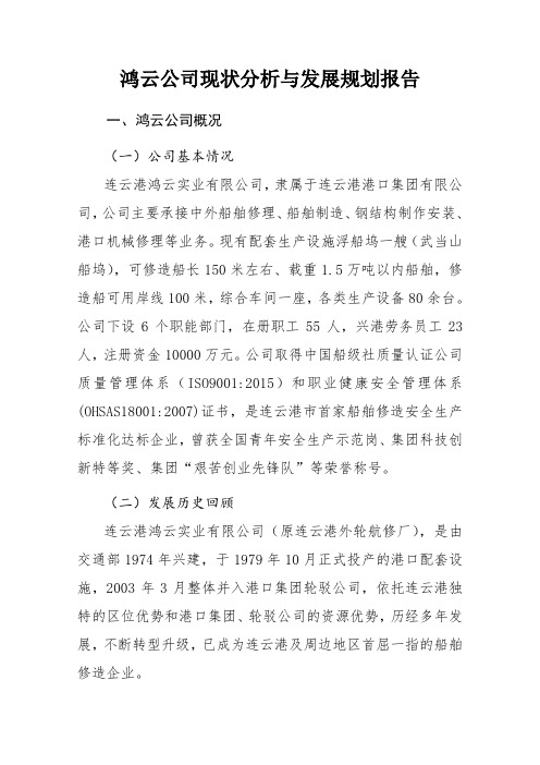 公司现状分析与发展规划