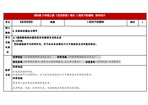 2024年秋湘教版六年级科学上册 1.1阳光下的植物(教案)