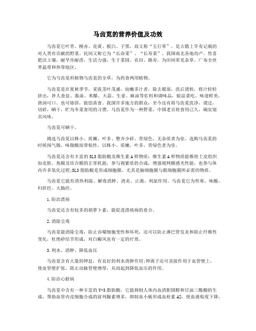 马齿苋的营养价值及功效