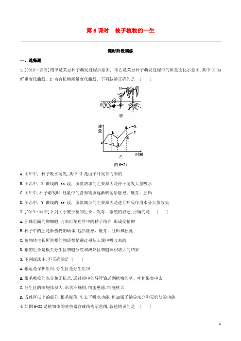 (鄂尔多斯专版)2020中考生物复习方案第三单元生物圈中的绿色植物第06课时被子植物的一生试题