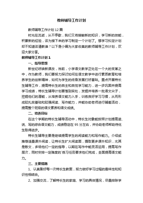 教师辅导工作计划