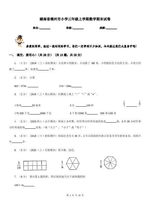 湖南省郴州市小学三年级上学期数学期末试卷